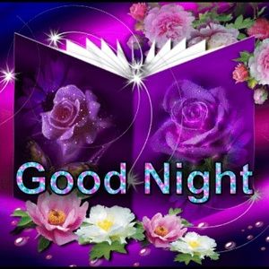 Meet your Posher, Stella